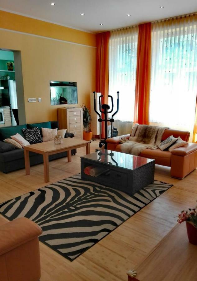 Apartment Villa Frank 마리안스케 라즈네 외부 사진